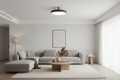 Minimalist Round LED Ceiling Light Nordic Flush Mount Lamp