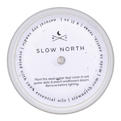 Forest Bathing - Signature Candle (Fir + Pine + Patchouli)