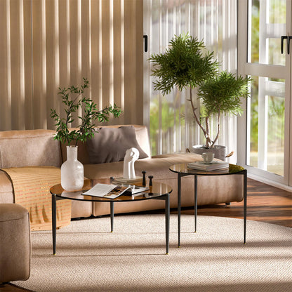 Tempered Glass Coffee Table with Metal Frame