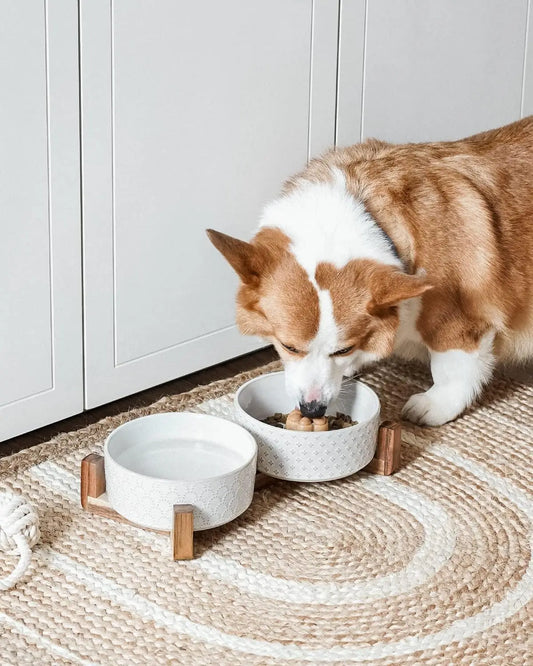 Elevated Ceramic Pet Bowl Set with Acacia Wood Stand