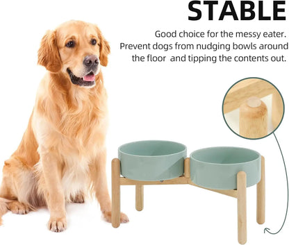 Elevated Ceramic Dog Bowl Set With Wooden Stand