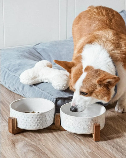 Elevated Ceramic Pet Bowl Set with Acacia Wood Stand