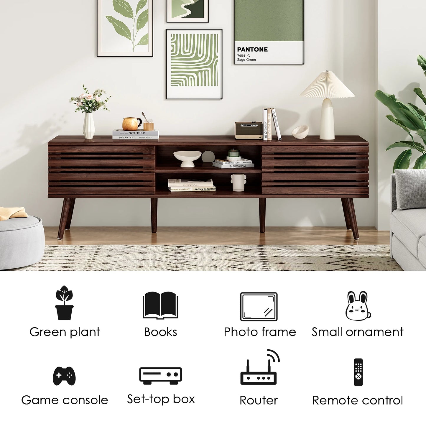 Mid-Century TV Stand with Storage