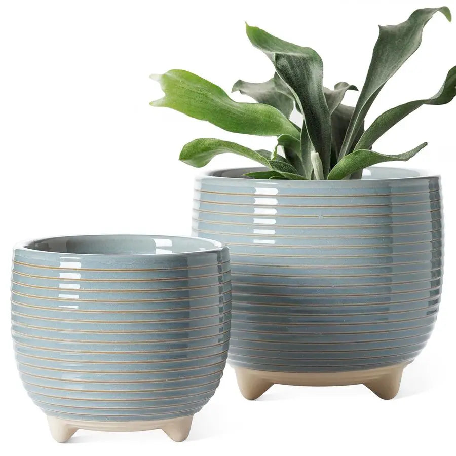 Ceramic Planter Set with Modern Classic Appeal
