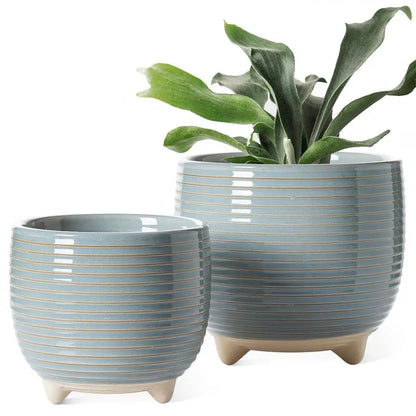 Ceramic Planter Set with Modern Classic Appeal