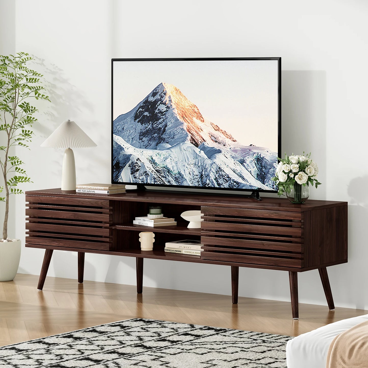 Mid-Century TV Stand with Storage