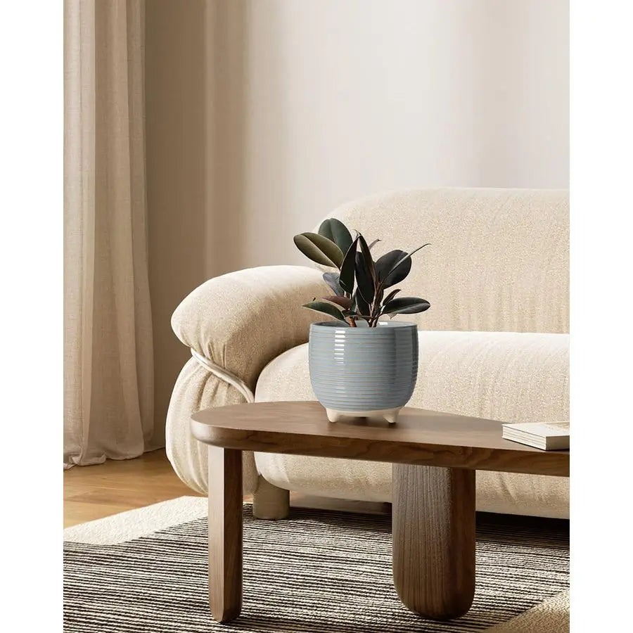 Ceramic Planter Set with Modern Classic Appeal