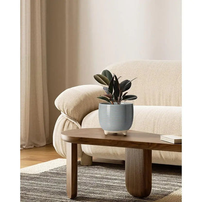 Ceramic Planter Set with Modern Classic Appeal