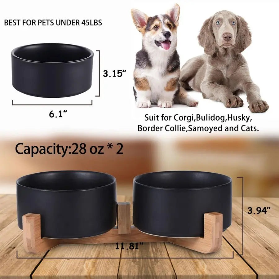 Modern Black Ceramic Pet Bowl Set