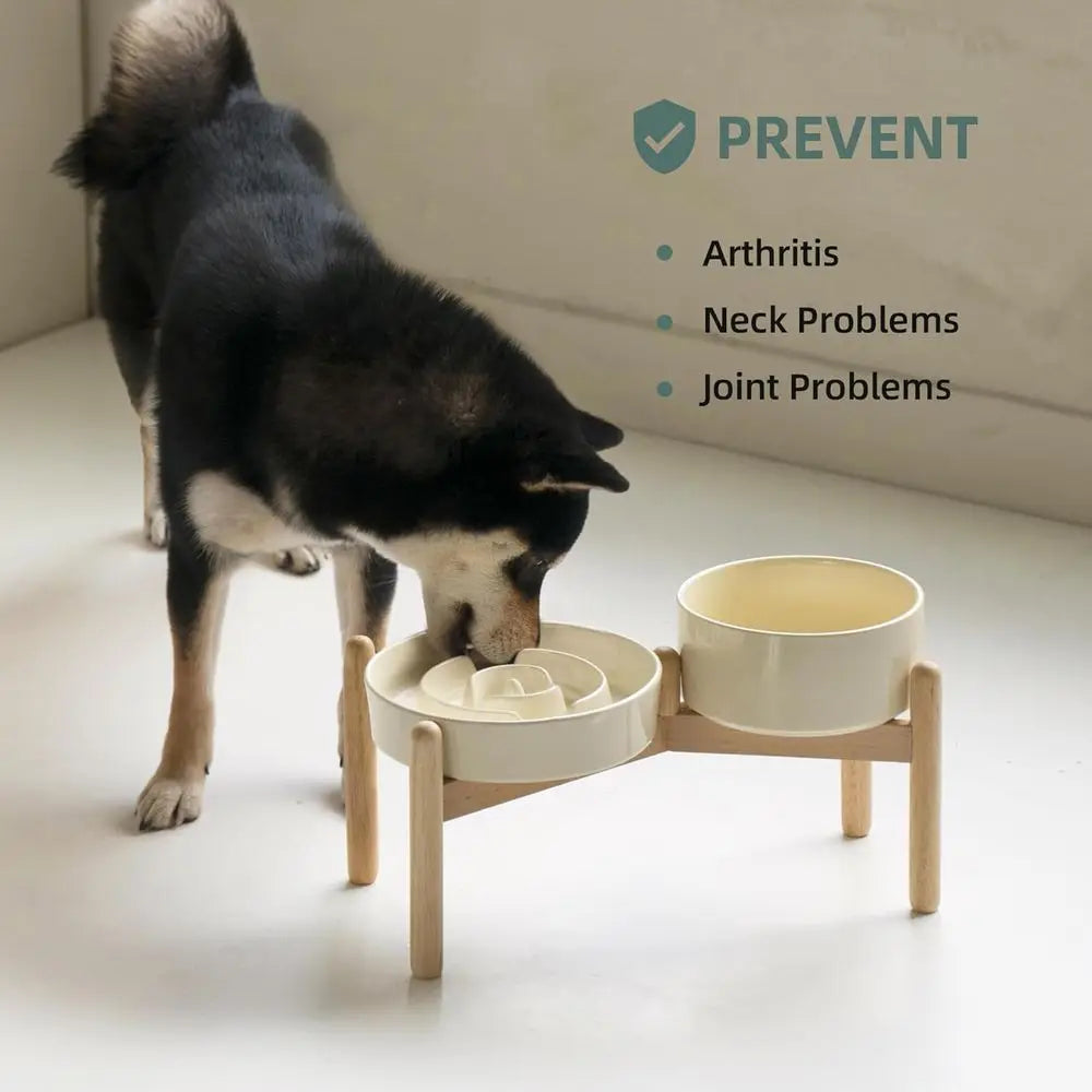 Elevated Slow Feeder Bowl Set with Wooden Stand