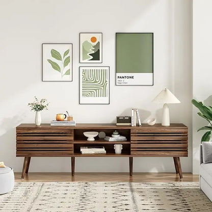 Mid-Century TV Stand with Storage
