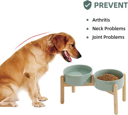 Elevated Ceramic Dog Bowl Set With Wooden Stand