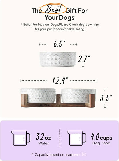 Elevated Ceramic Pet Bowl Set with Acacia Wood Stand