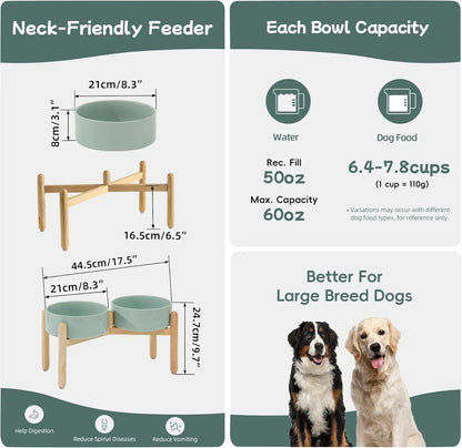 Elevated Ceramic Dog Bowl Set With Wooden Stand