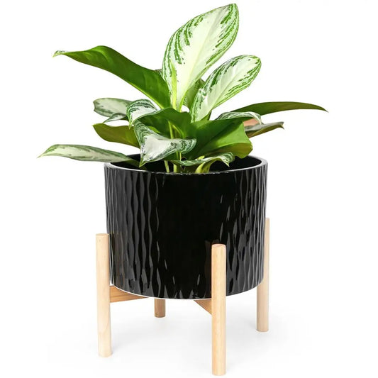 Water Ripple Ceramic Planter Collection