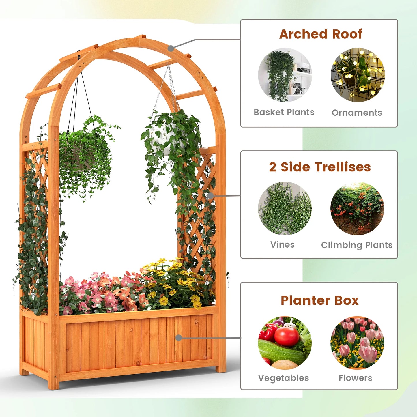 58” Fir Wood Raised Garden Bed with Arched Trellis