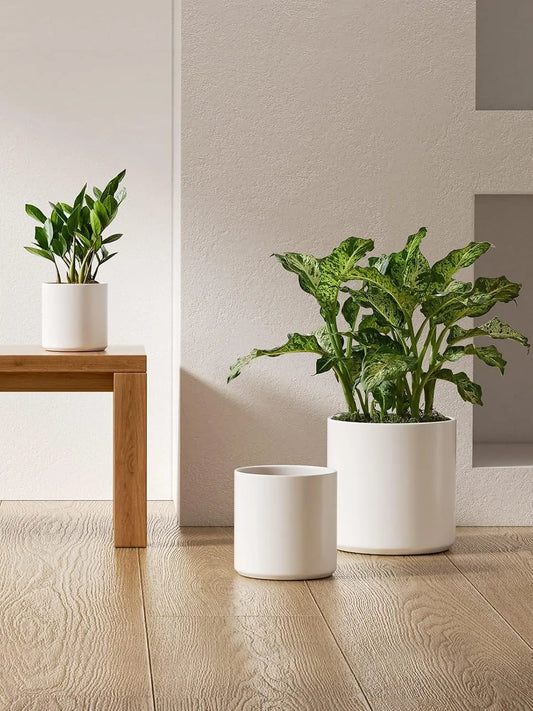 Modern White Ceramic Planter Set Trio