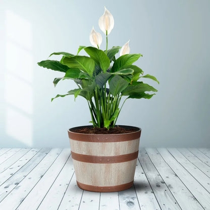 Whiskey Barrel Resin Planter