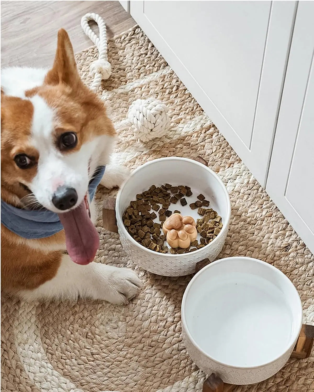 Elevated Ceramic Pet Bowl Set with Acacia Wood Stand