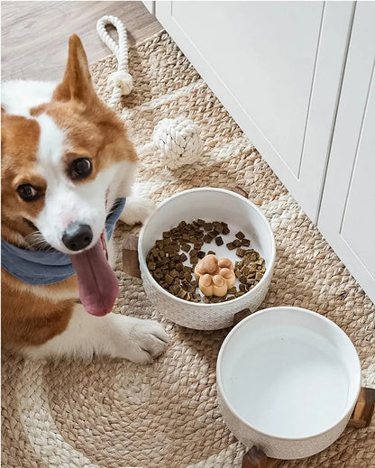 Elevated Ceramic Pet Bowl Set with Acacia Wood Stand