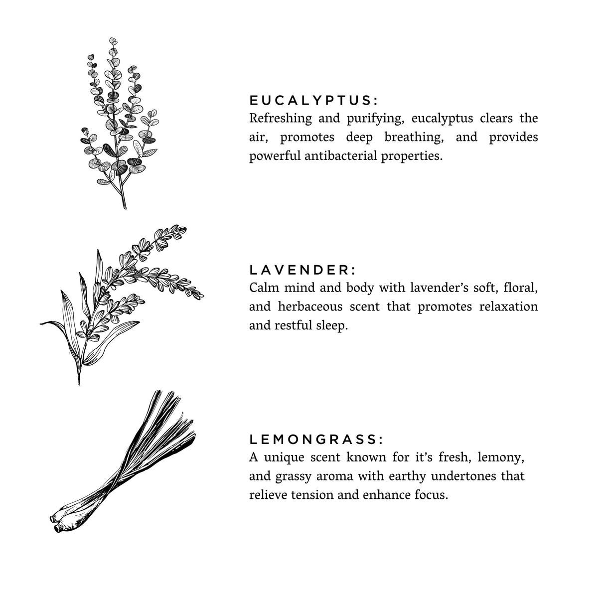 Shangri-La - Eucalyptus + Lavender + Lemongrass