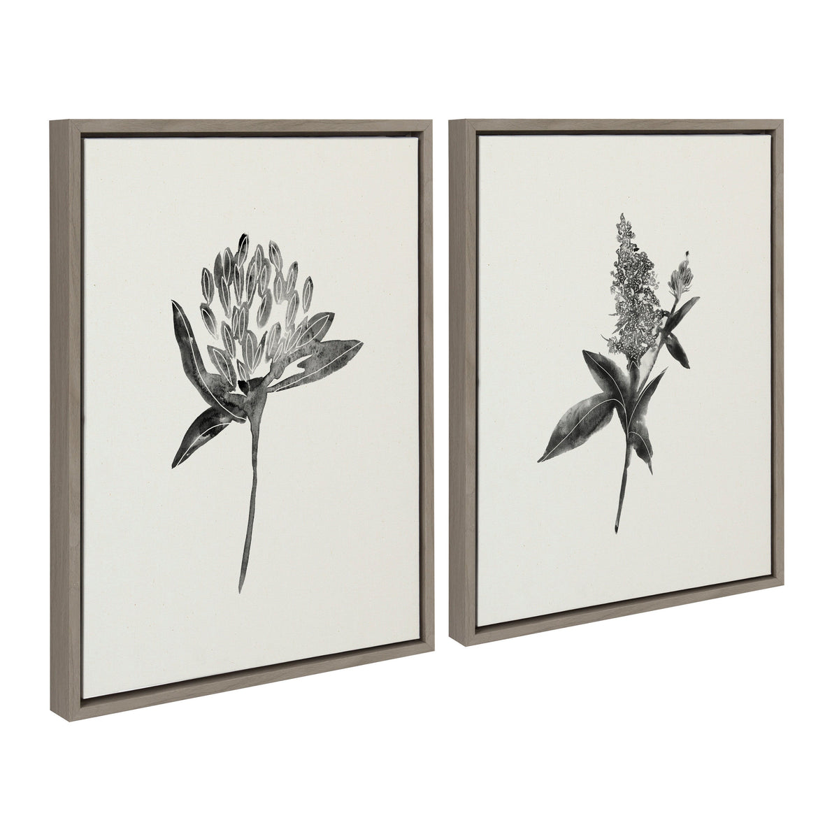 Sylvie Vintage Botanical 1 and 2 Framed Canvas by Teju Reval of SnazzyHues