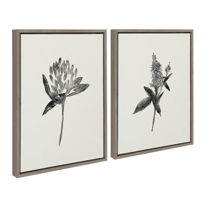 Sylvie Vintage Botanical 1 and 2 Framed Canvas by Teju Reval of SnazzyHues