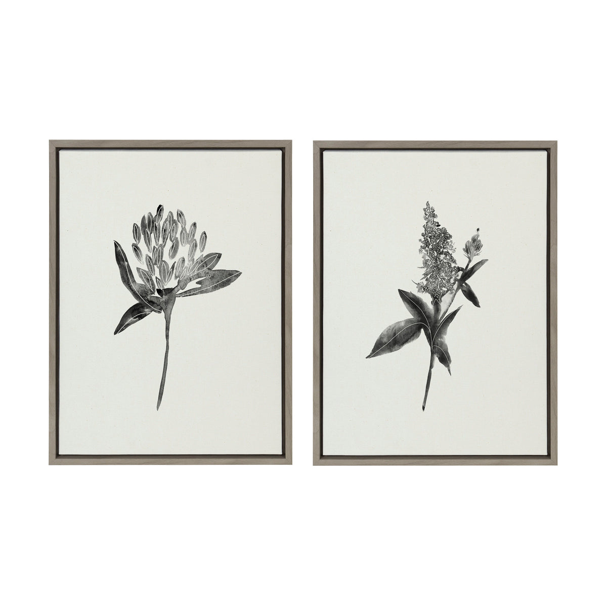 Sylvie Vintage Botanical 1 and 2 Framed Canvas by Teju Reval of SnazzyHues