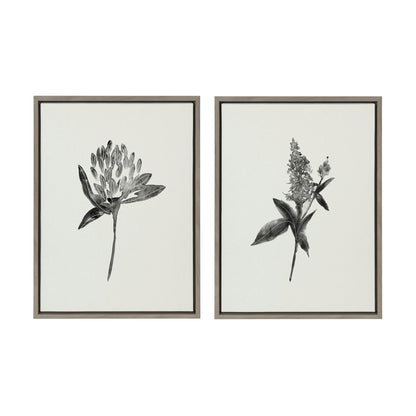 Sylvie Vintage Botanical 1 and 2 Framed Canvas by Teju Reval of SnazzyHues